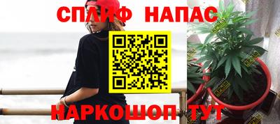 Альфа ПВП Пугачёв