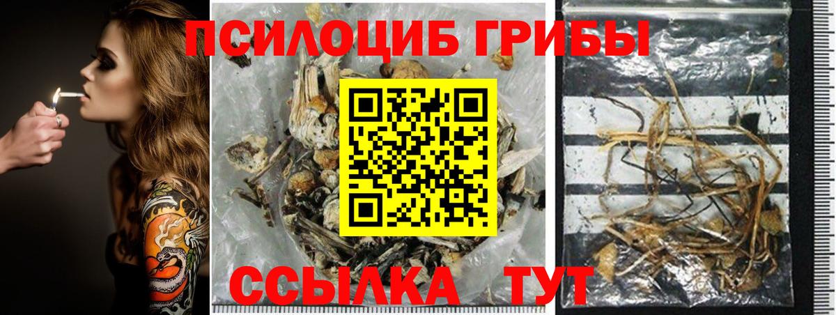 Псилоцибиновые грибы мухоморы Светлоград
